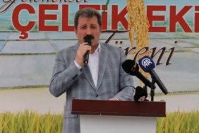 Bafra Ovası'nda Çeltik Ekimi Başladı