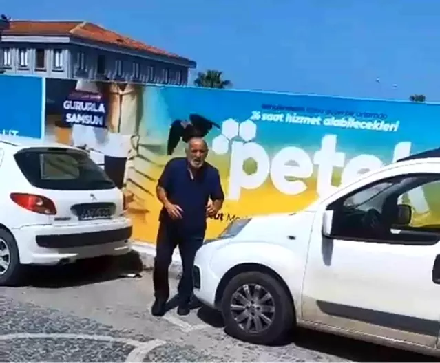 Karga Yavrusu Kurtarma Çabası Karga Saldırısına Dönüştü
