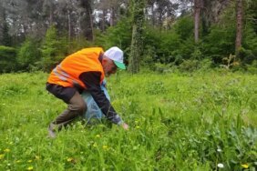 Orman Benim Kampanyası Yakakent'te - Son Dakika