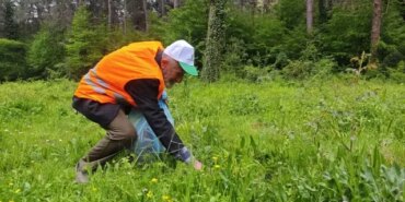 Orman Benim Kampanyası Yakakent'te - Son Dakika