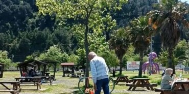 Samsun'da Köpek Parkta Eğlendi - Son Dakika