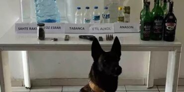 Samsun'da Sahte Alkol Operasyonu - Son Dakika