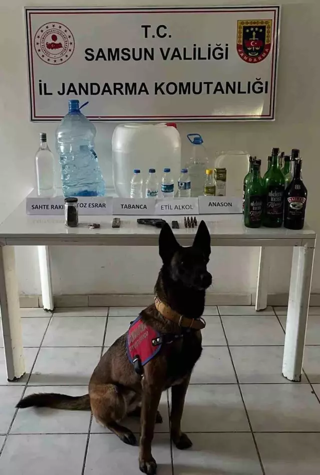 Samsun'da Sahte Alkol Operasyonu - Son Dakika