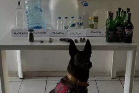 Samsun'da Sahte İçki Operasyonu - Son Dakika