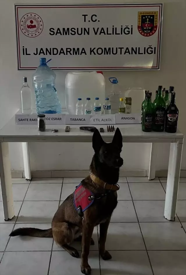 Samsun'da Sahte İçki Operasyonu - Son Dakika