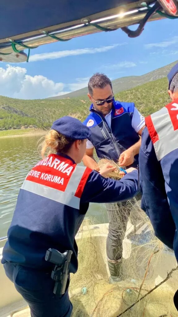 Samsun'da Takılı Balıklar Kurtarıldı - Son Dakika