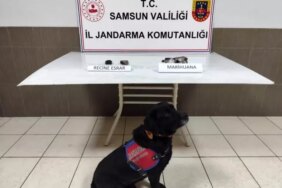 Samsun'da Uyuşturucu Operasyonu: 1 Gözaltı