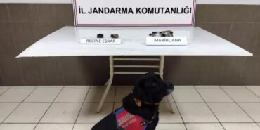 Samsun'da Uyuşturucu Operasyonu: 1 Gözaltı