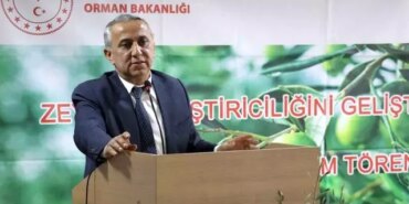 Samsun'da Zeytin Üretimi Artacak - Son Dakika