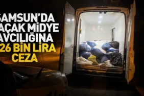 Samsun'da kaçak midye avcılığına 126 bin lira ceza