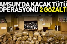Samsun'da kaçak tütün operasyonu; 2 gözaltı