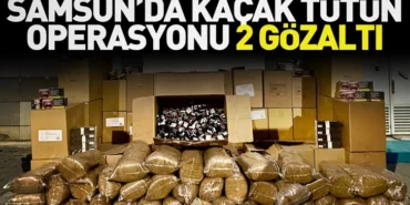 Samsun'da kaçak tütün operasyonu; 2 gözaltı