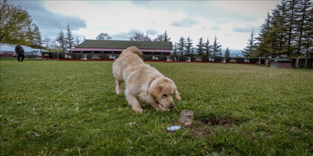 Su kaçaklarını hassas burunlar tespit edecek