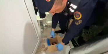 Uyuşturucu Operasyonu: 1 Gözaltı - Son Dakika