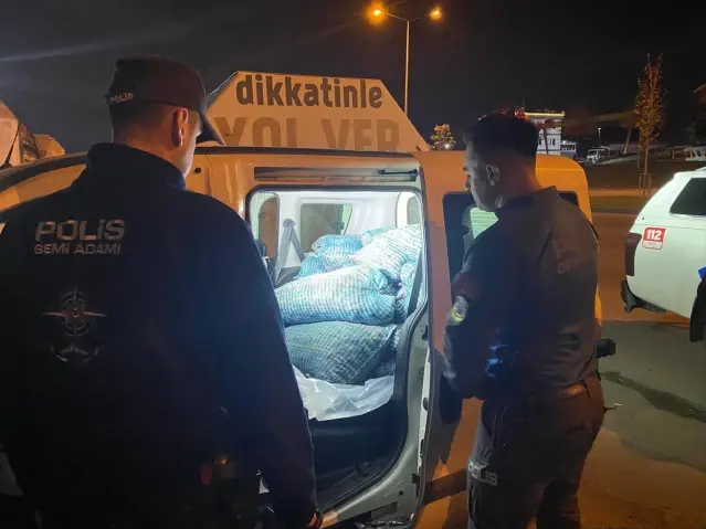Samsun'da Kaçak Midye Operasyonu - Son Dakika