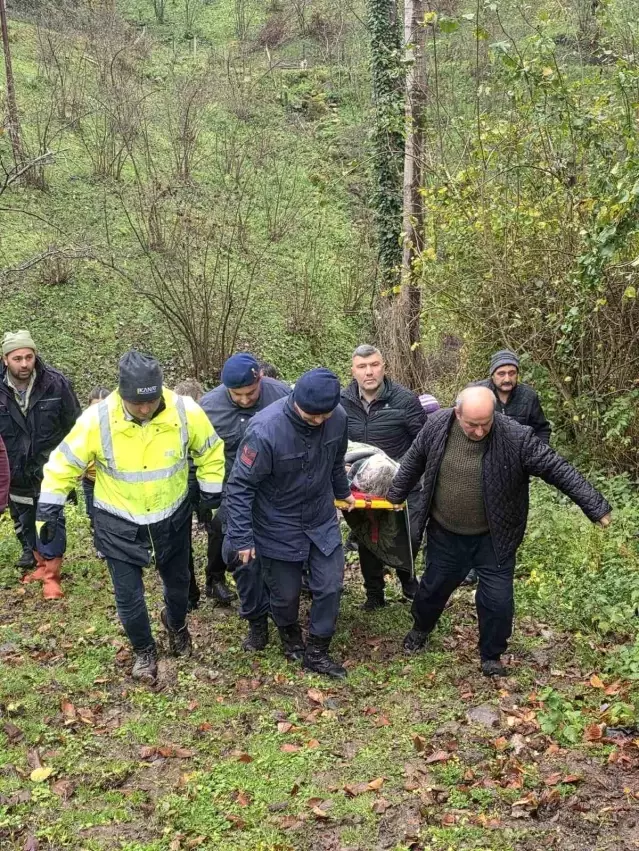 Alzheimer Hastası Kadın Ormanda Bulundu