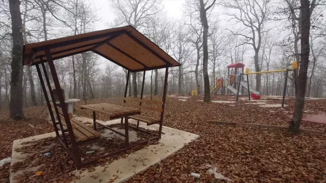 Asarcık'ta Yeni Mesire Alanı - Son Dakika