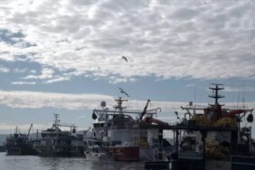 İğneada'da Hamsi Avı Bereketli Geçiyor