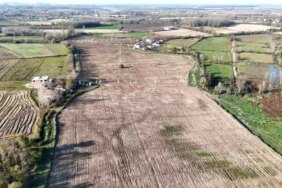 Karadeniz'in en büyük incir projesi: 50 milyon TL gelir kız çocuklarına verilecek