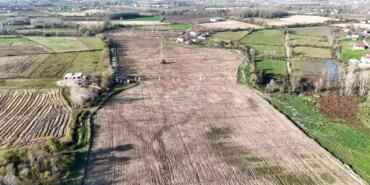 Karadeniz'in en büyük incir projesi: 50 milyon TL gelir kız çocuklarına verilecek