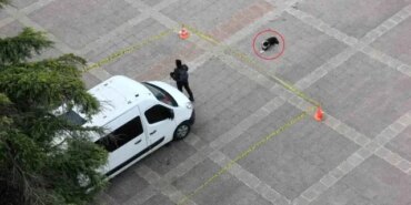 Kurallara Uyan Köpek - Son Dakika