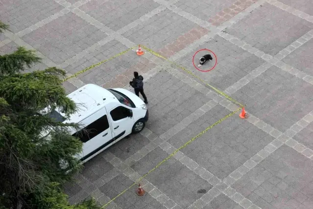 Kurallara Uyan Köpek - Son Dakika