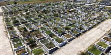 Samsun'da 2021-2024 Arasında 41 Bin Ölüm