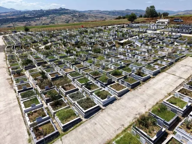 Samsun'da 2021-2024 Arasında 41 Bin Ölüm