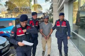 Samsun'da Ağaç Kesimi Trajedisi - Son Dakika