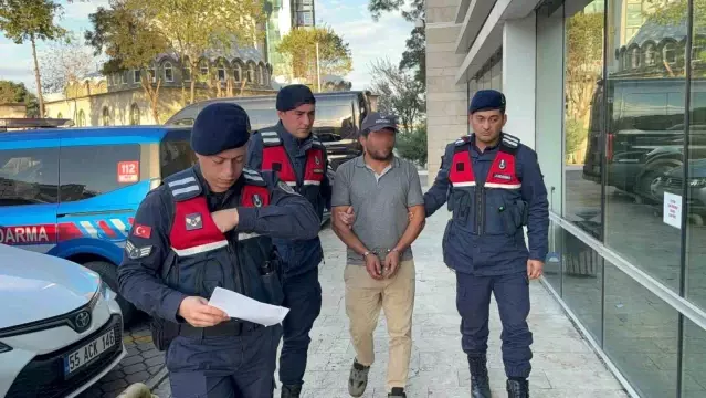 Samsun'da Ağaç Kesimi Trajedisi - Son Dakika