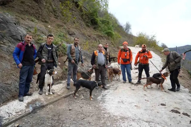 Samsun'da Domuz Avında Takoz Zorunluluğu İsyanı