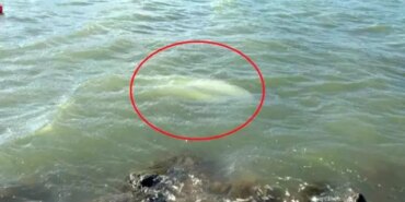 Samsun'da Fırtına: 3 Tekne Battı