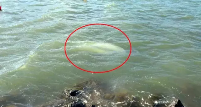 Samsun'da Fırtına: 3 Tekne Battı