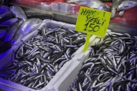 Samsun'da Hamsi Fiyatları 150 Lira