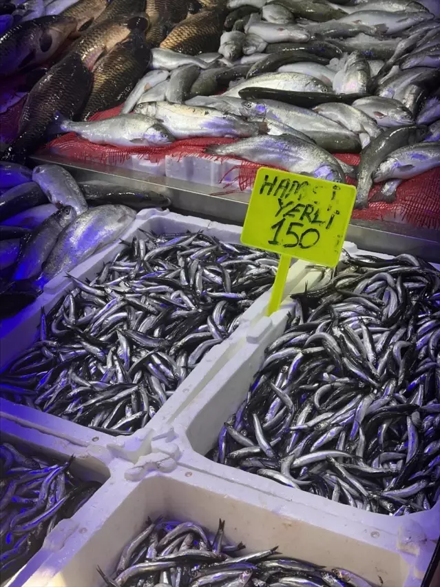 Samsun'da Hamsi Fiyatları 150 Lira