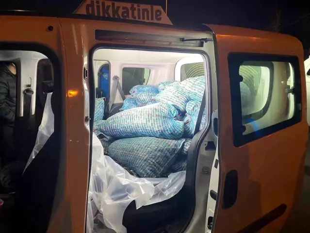 Samsun'da Kaçak Midye Operasyonu - Son Dakika