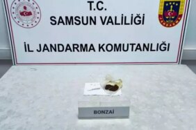 Samsun'da Uyuşturucu Ele Geçirildi - Son Dakika