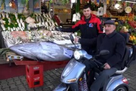 Düzce'de Dev Orkinos Satışta - Son Dakika