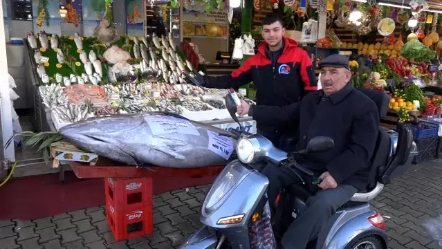 Düzce'de Dev Orkinos Satışta - Son Dakika