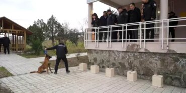 Görev Köpeği Pars, Samsun Emniyetine Teslim Edildi