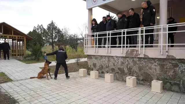 Görev Köpeği Pars, Samsun Emniyetine Teslim Edildi