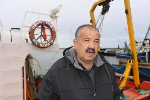 Hamsi Gürcistan'a Göç Etti - Son Dakika