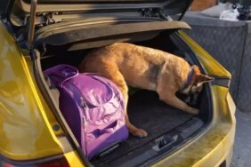 Havza'da Uyuşturucu Operasyonu - Son Dakika