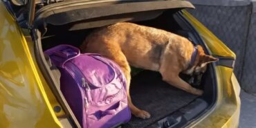 Havza'da Uyuşturucu Operasyonu - Son Dakika