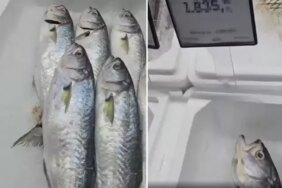 Markette satılan balığın fiyatını duyunca büyük şaşkınlık yaşadı