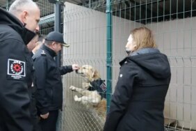 Samsun'a Yeni Görev Köpeği: Pars