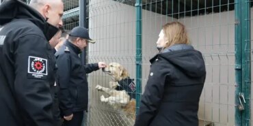 Samsun'a Yeni Görev Köpeği: Pars