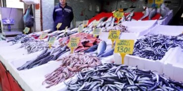 Samsun'da Balık Tezgahlarında Bolluk - Son Dakika