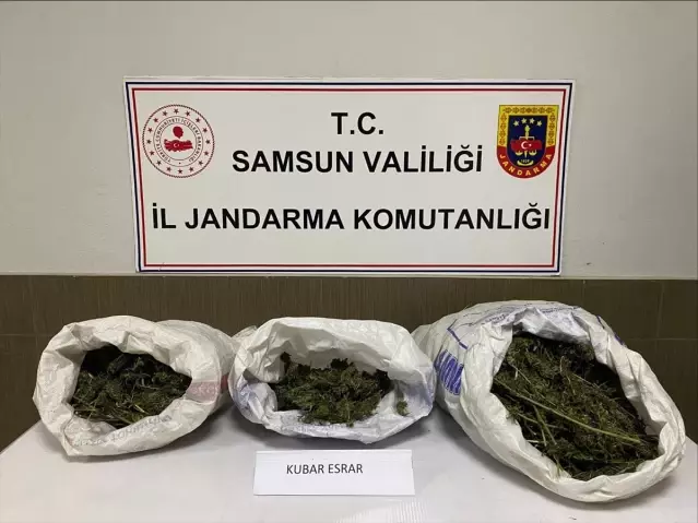 Samsun'da Esrar Operasyonu: 6.2 kg Ele Geçirildi