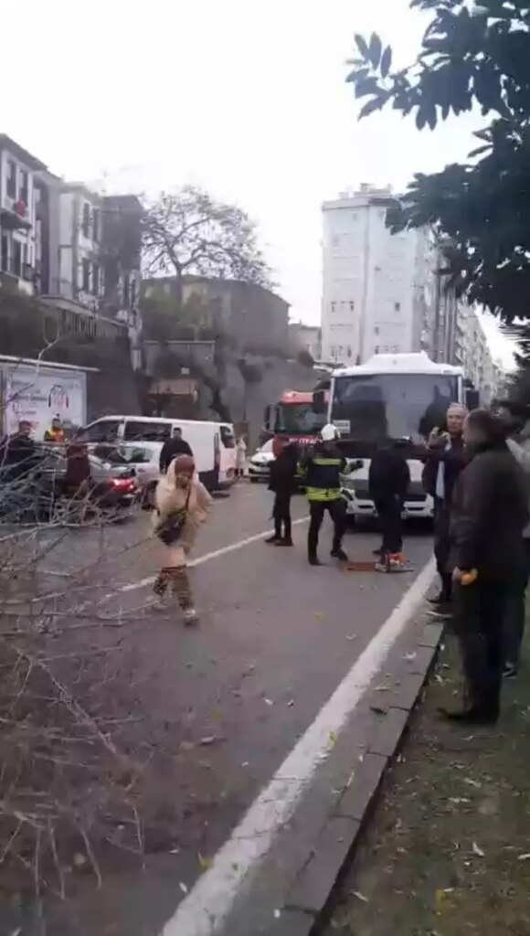 Samsun'da Fırtına Ağaçları Devrildi - Son Dakika